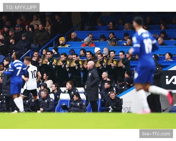 事件复盘：富勒姆球迷冲入场内庆祝导致比赛中断，俱乐部遭指控